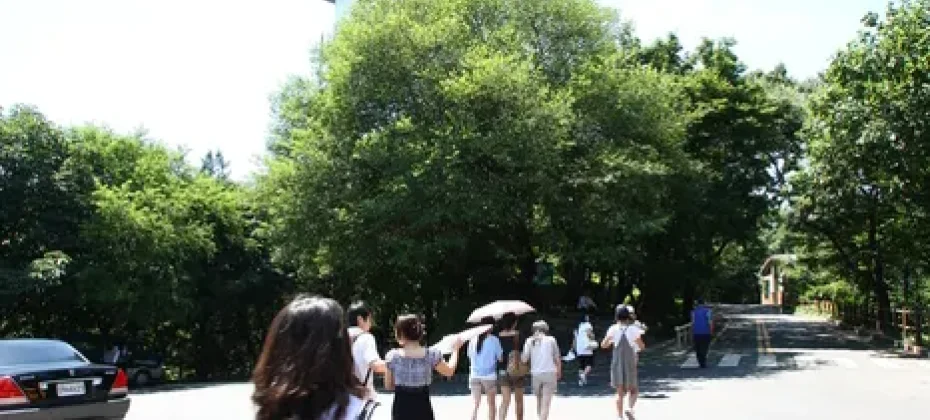 N首爾塔觀景台優惠門票