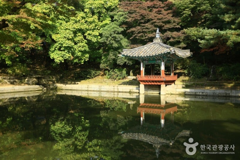 昌德宫和后苑[联合国教科文组织世界文化遗产]
