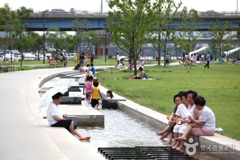 汉江市民公园汝矣岛地区 (4/12)