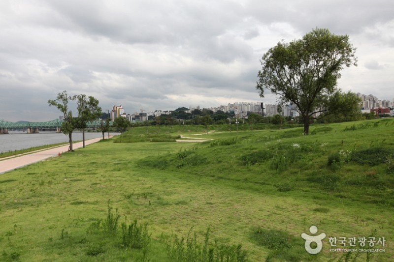 汉江市民公园汝矣岛地区 (5/12)