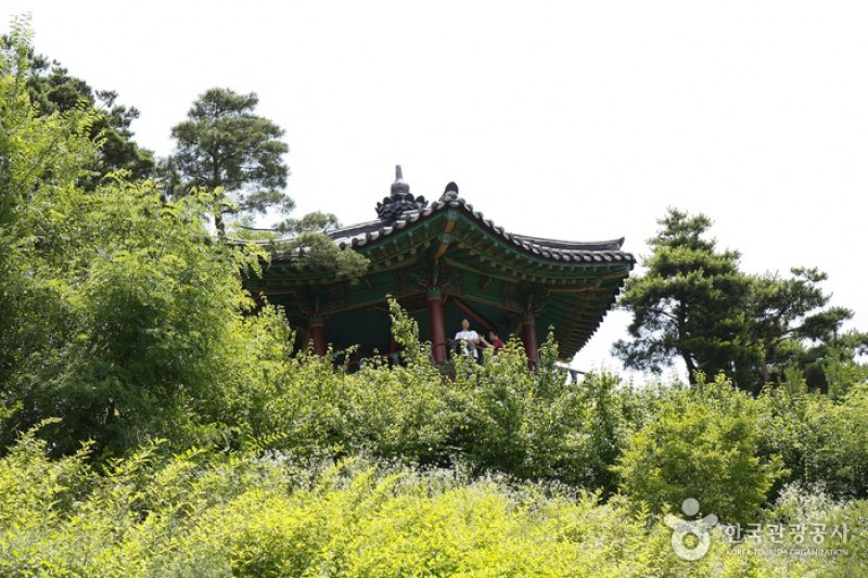 骆山公园