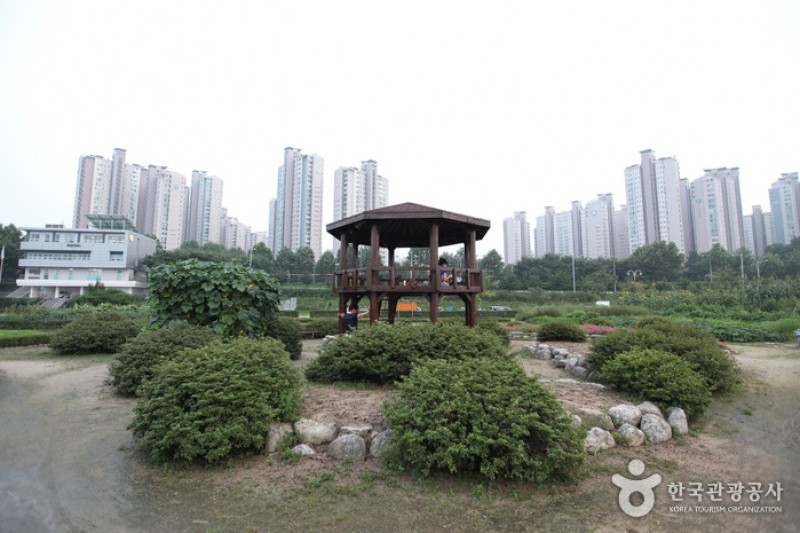汉江市民公园-蚕室地区