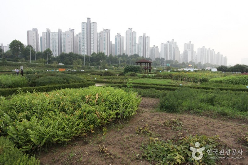 汉江市民公园-蚕室地区
