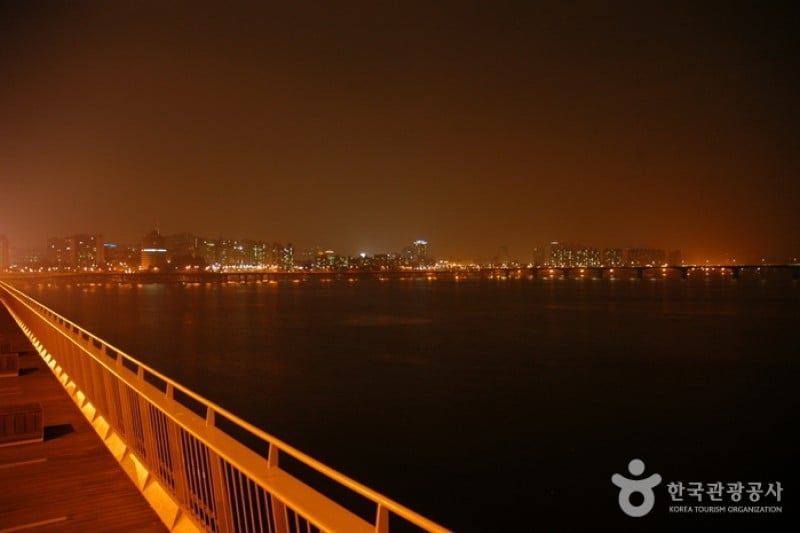 麻浦大桥夜景