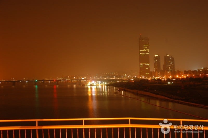 麻浦大桥夜景
