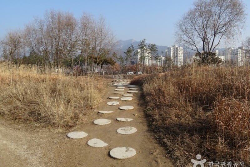 首尔菖蒲园