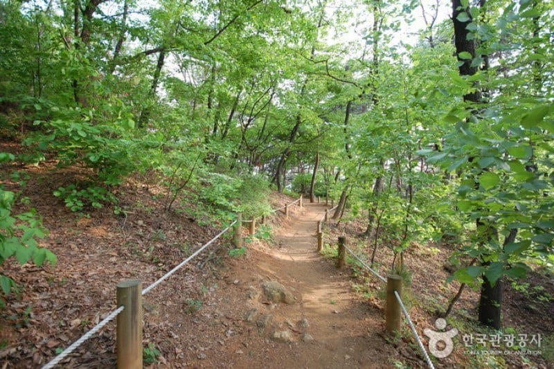 阿且山城 (2/6)
