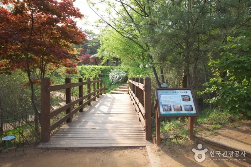 峨嵯山生态公园