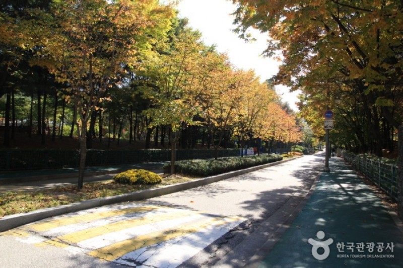 烽火山(首尔)봉화산(서울) (1/5)