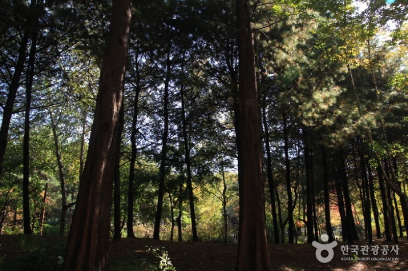 烽火山(首尔)봉화산(서울) (2/5)