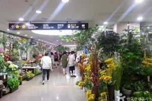 高速巴士客运站花卉批发市场