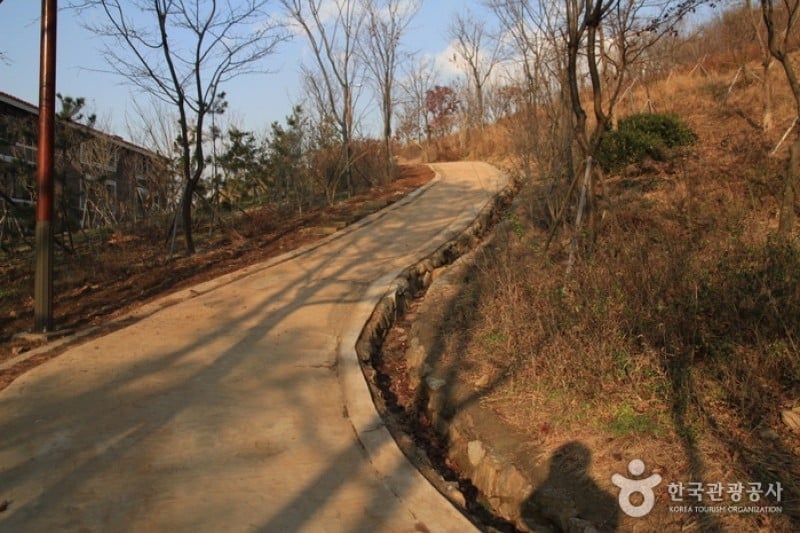忘忧山 (2/4)