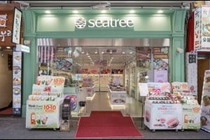 Seatree 明洞UNESCO店시트리 명동 유네스코점