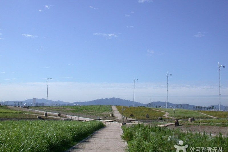 天空公园