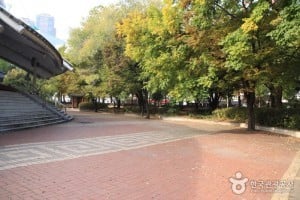 首尔游戏场서울놀이마당