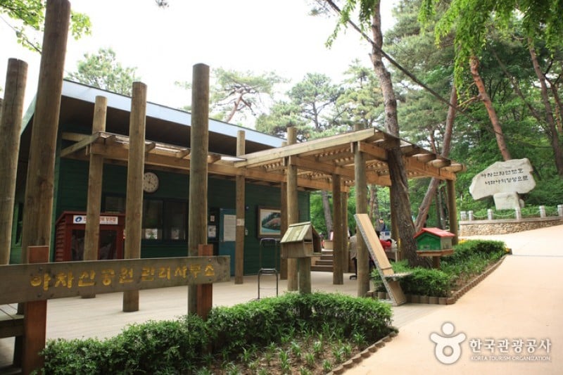峨嵯山 (2/2)