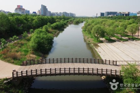 汝矣岛赛江生态公园(여의도샛강생태공원)