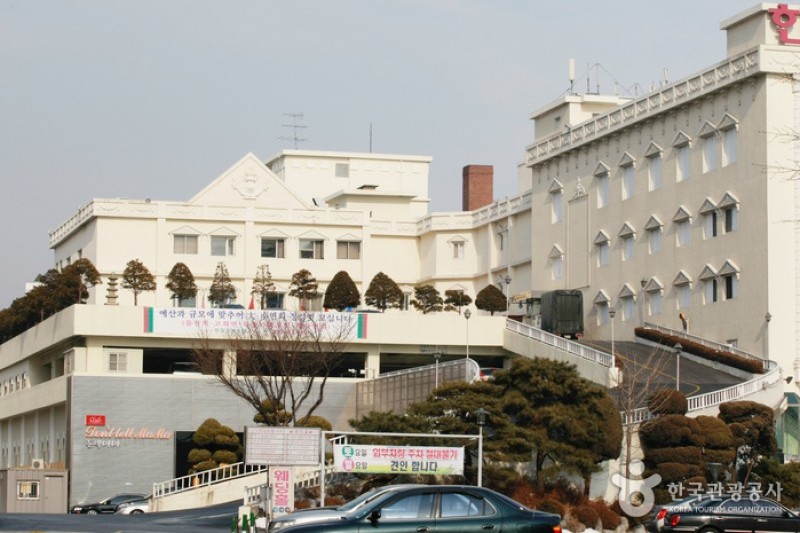 汉江观光酒店 (3/9)