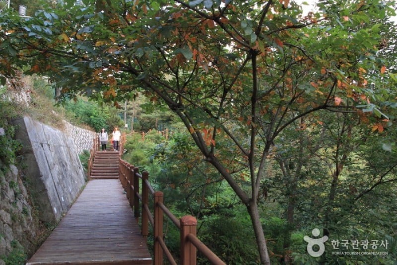 [北岳天空路散步路线1]北岳八角亭~马岩休息处 (2/5)