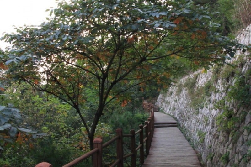 [北岳天空路散步路线1]北岳八角亭~马岩休息处 (4/5)