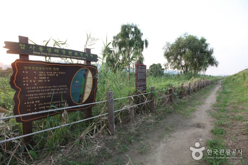 汉江市民公园广渡口地区 (2/6)