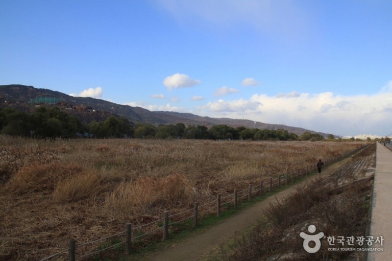 岩寺江畔生态公园 (2/4)