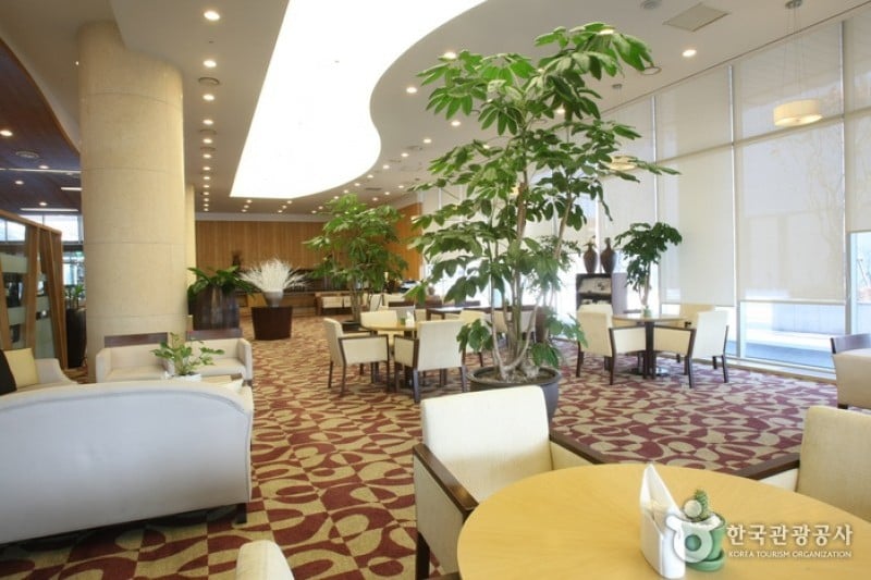 港湾公园大酒店 (6/64)