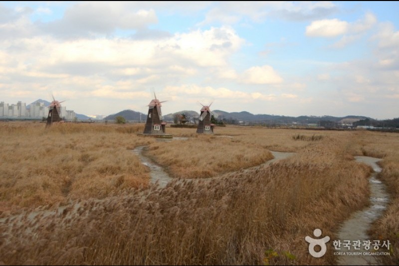 苏莱湿地生态公园(소래습지생태공원)