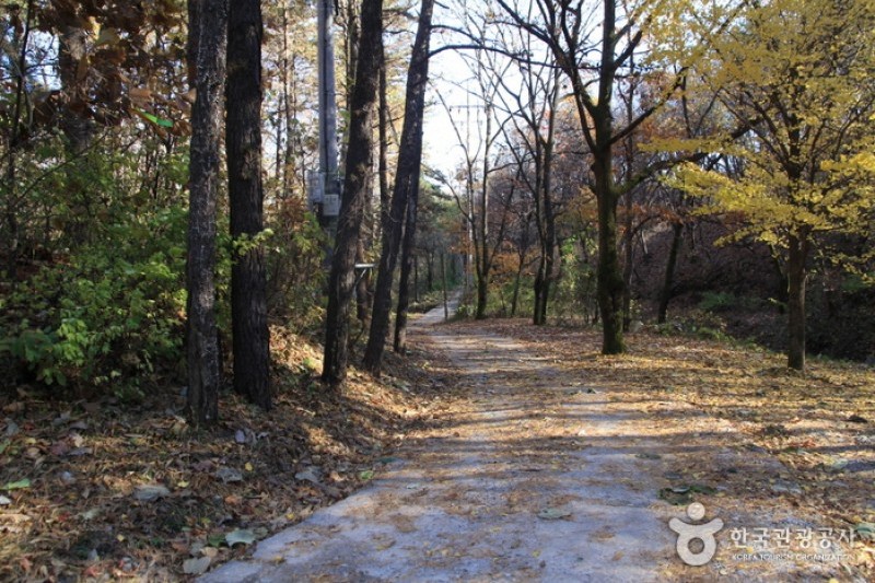 高丽山고려산 (1/4)