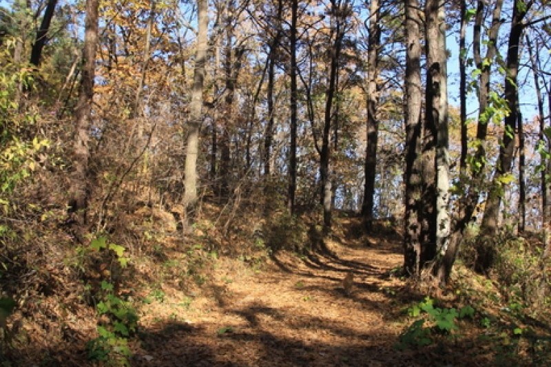 高丽山고려산 (2/4)