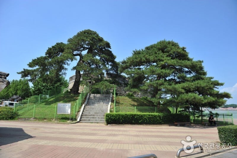草芝镇 (4/20)