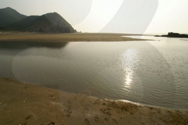 大青岛