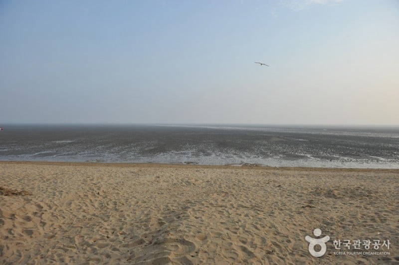 江华东幕海水浴场강화 동막해변 (3/12)