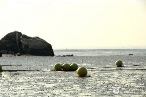 Minmeoru海边