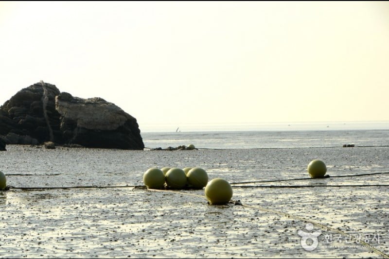Minmeoru海边 (3/4)