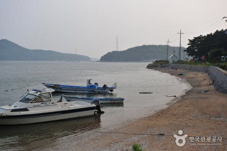 巨蚕浦海边