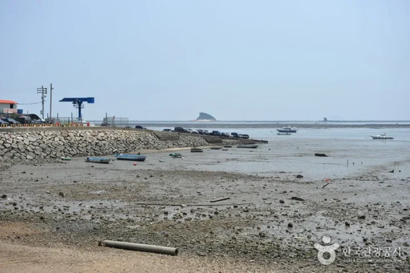 巨蚕浦海边
