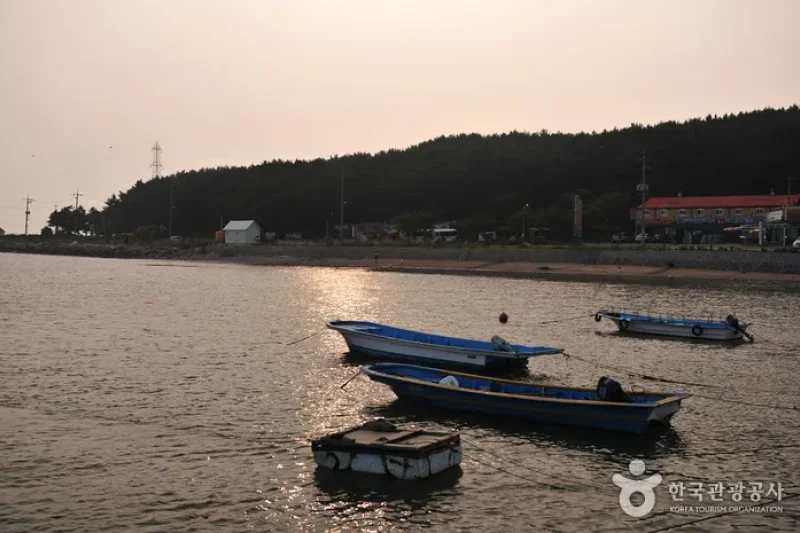 巨蚕浦海边