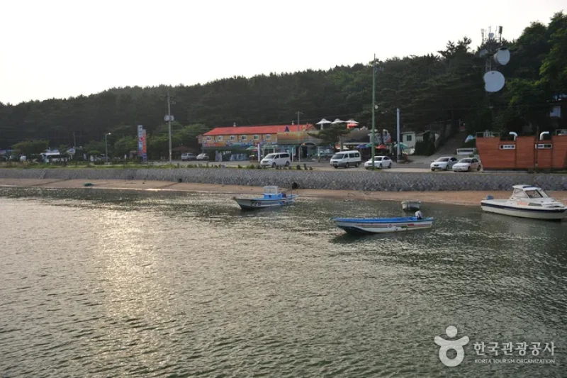 巨蚕浦海边