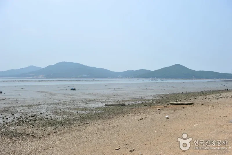 巨蚕浦海边