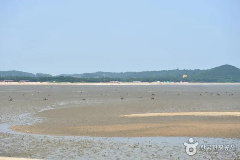 龙游岛