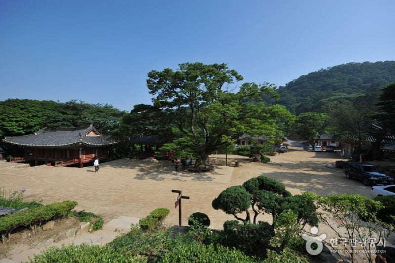 传灯寺(江华) (1/6)