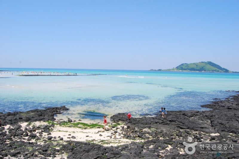 挟才海边