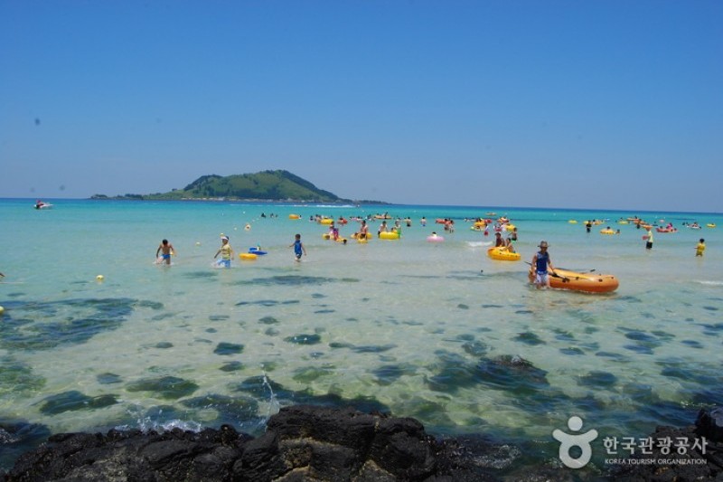 挟才海边
