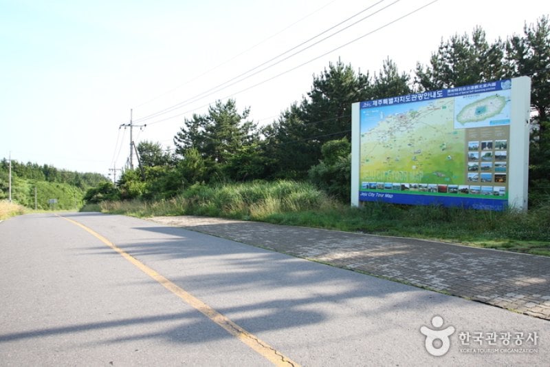 神秘的道路 (1/2)