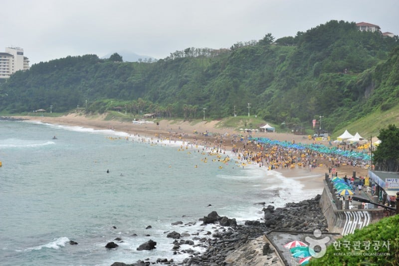 中文·穡达海边