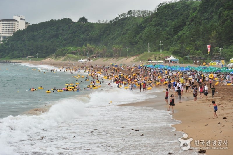 中文·穡达海边