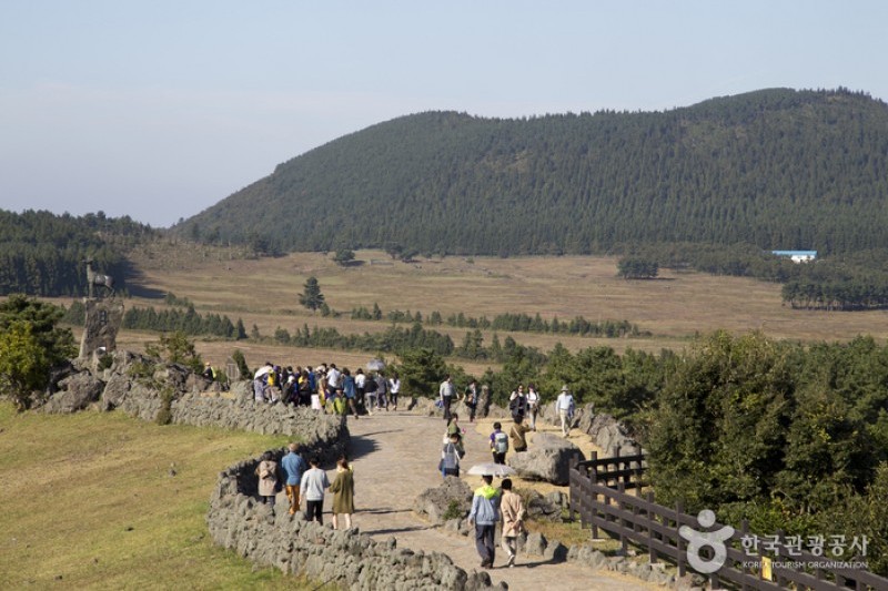 山君不离