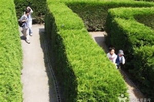 金宁迷宫公园