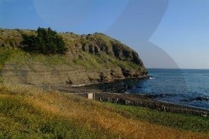 龙头海岸